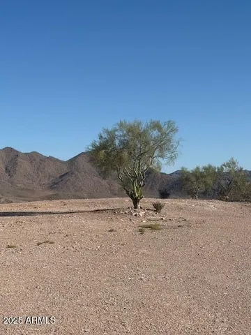 a view of a house with a mountain and a forest