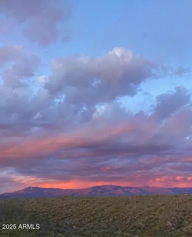 a city view and of lots of trees in the background