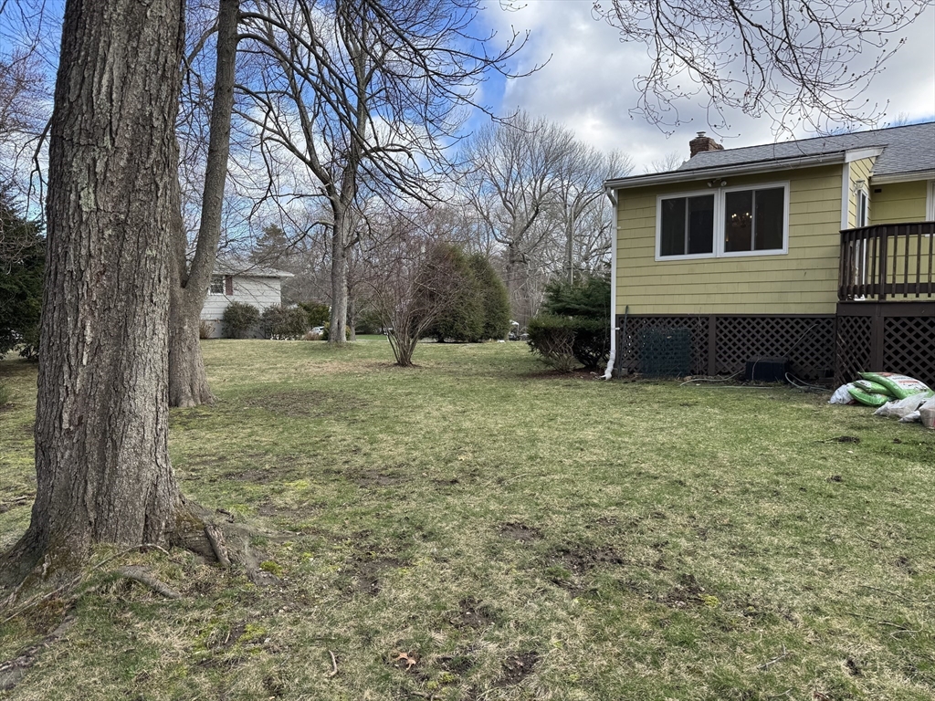 7 Lee Street Walpole, MA 02081 - Photo 19 of 24