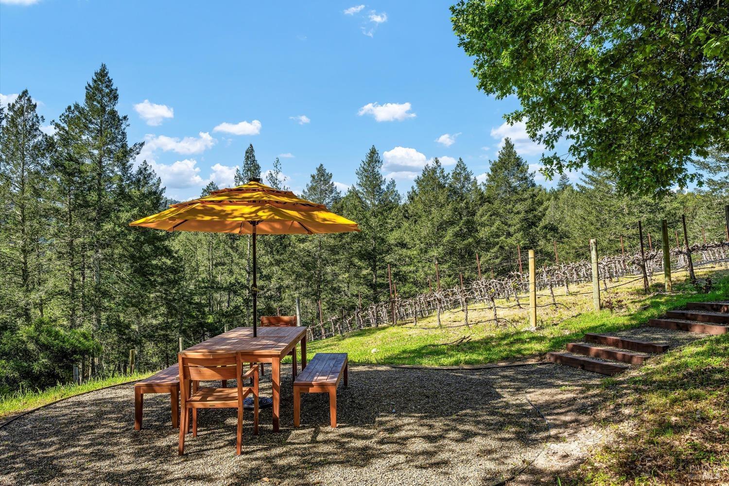 511 Kortum Canyon Road Calistoga, CA 94515 - Photo 70 of 87 Picnic area near the vineyard.