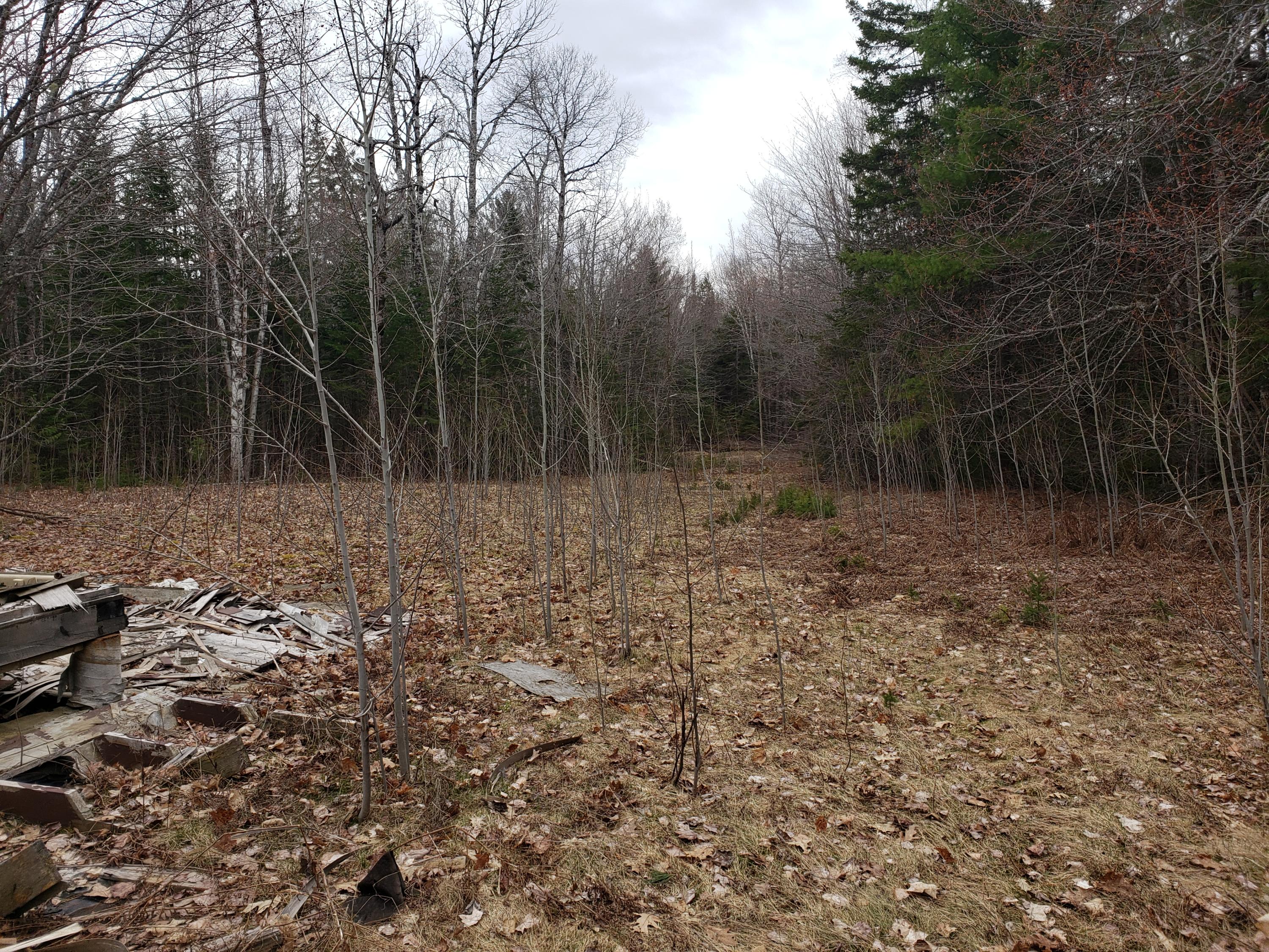 0 Ayers Junction Road Charlotte, ME 04666 - Photo 6 of 12 20190430_135105