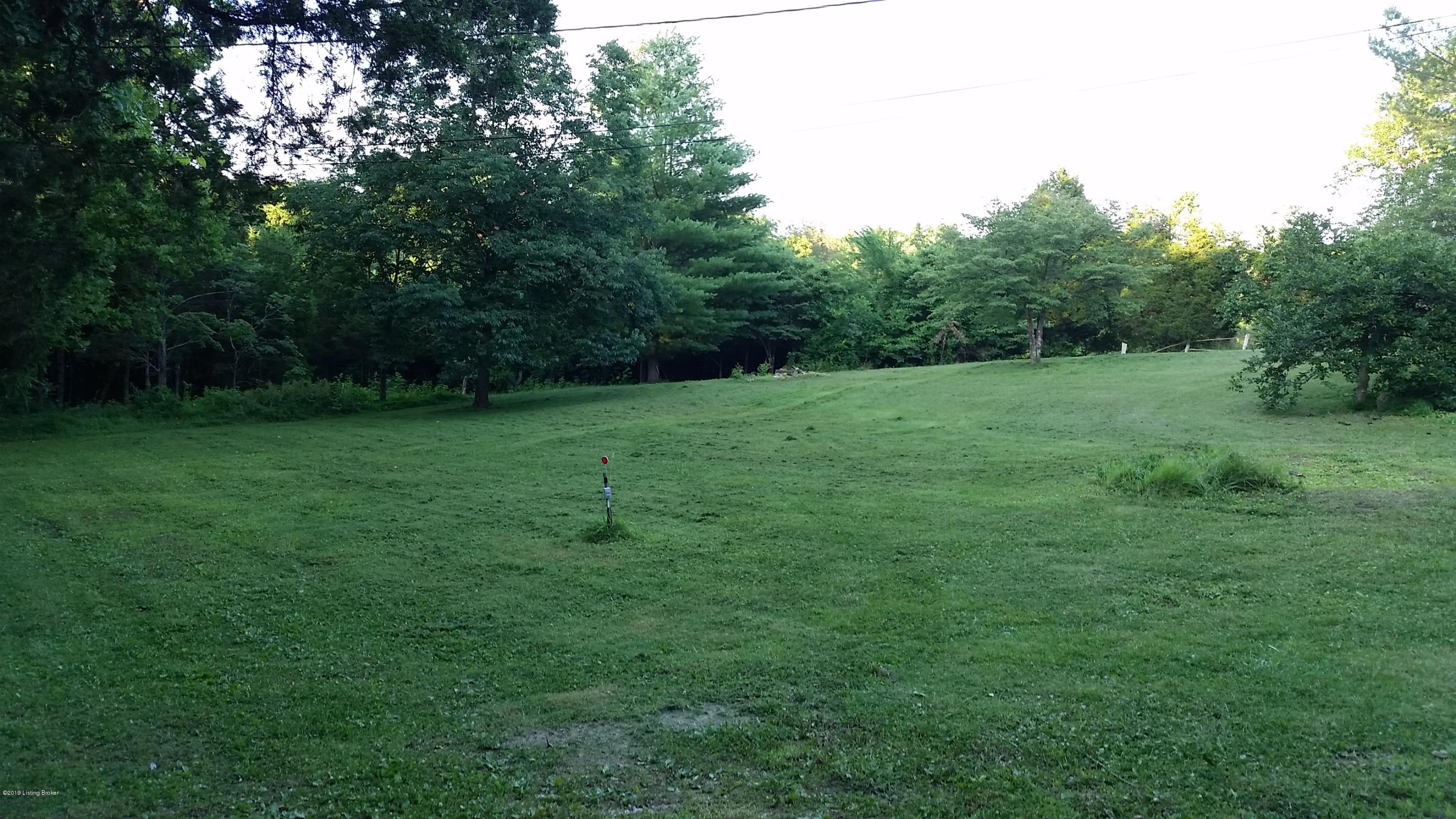 340 Vinson Road Brandenburg, KY 40108 - Photo 37 of 39 Back yard