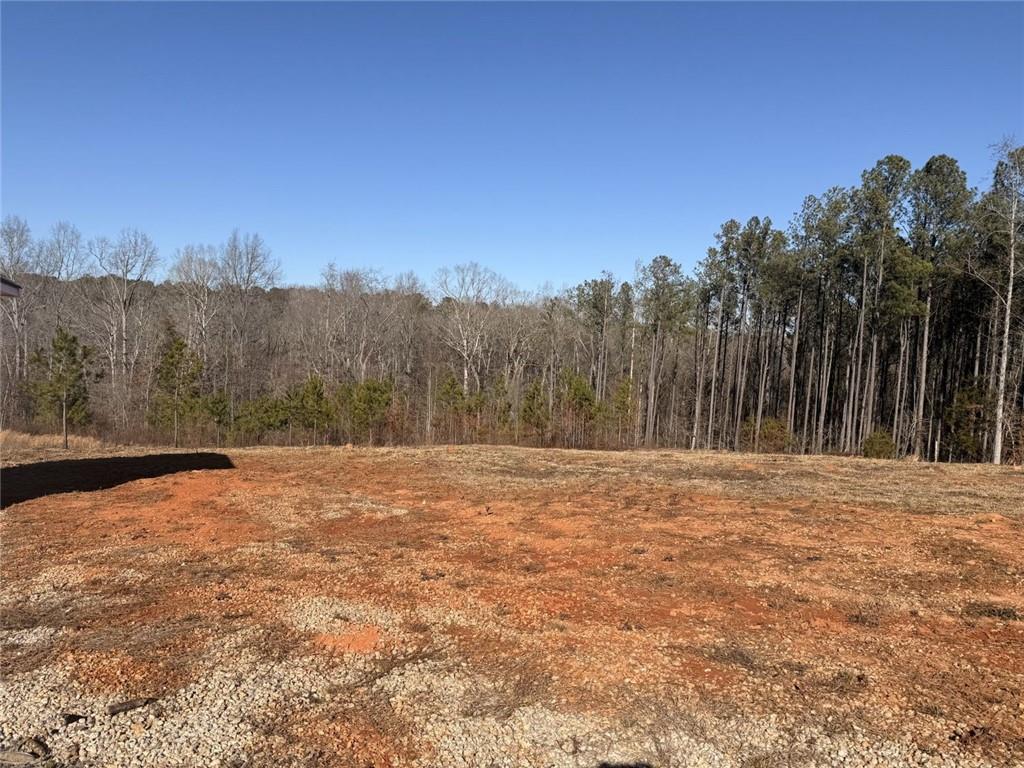 3445 Silas Mercer Road Northeast Crawfordville, GA 30631 - Photo 3 of 12 a view of dirt field with trees in the background