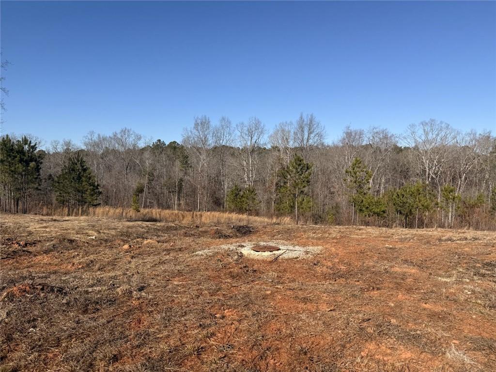3445 Silas Mercer Road Northeast Crawfordville, GA 30631 - Photo 7 of 12 a view of dirt field with trees in background