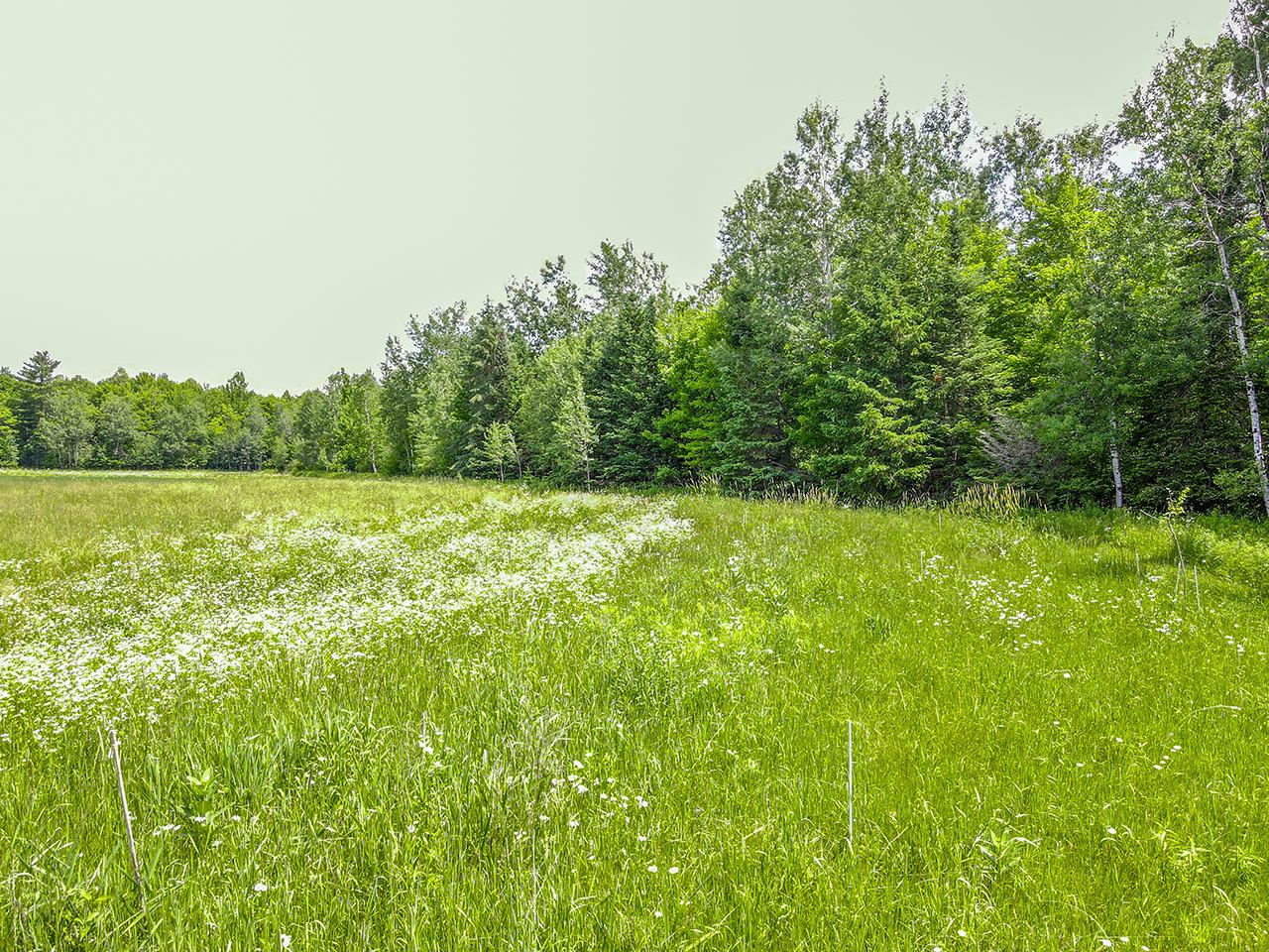 W5844 Otteson Road Ogema, WI 54459 - Photo 26 of 36 Gallery Image 26