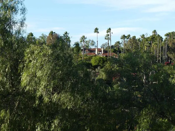 a view of a lake with a yard