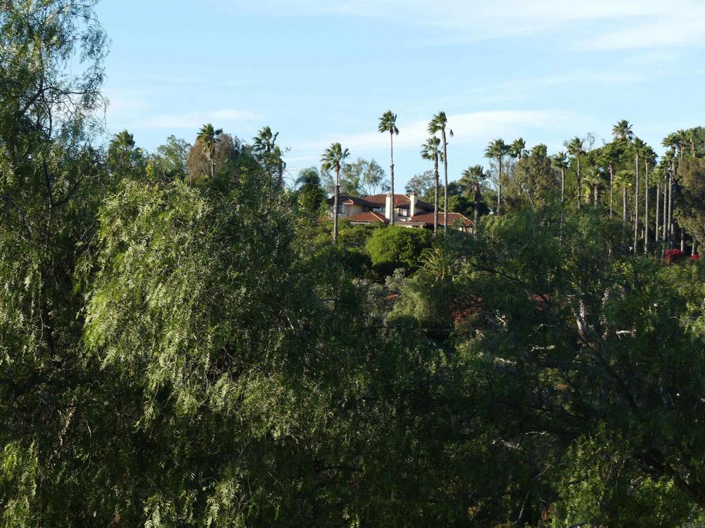 725 Yucca Road Fallbrook, CA 92028 - Photo 13 of 46 a view of a city