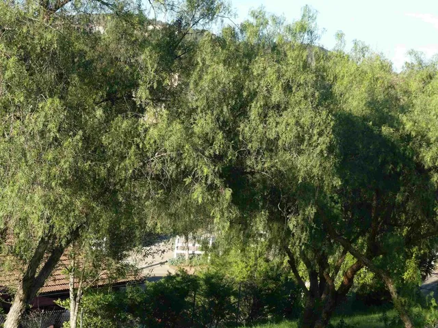 $575,000 | 725 Yucca Road, Fallbrook, CA 92028