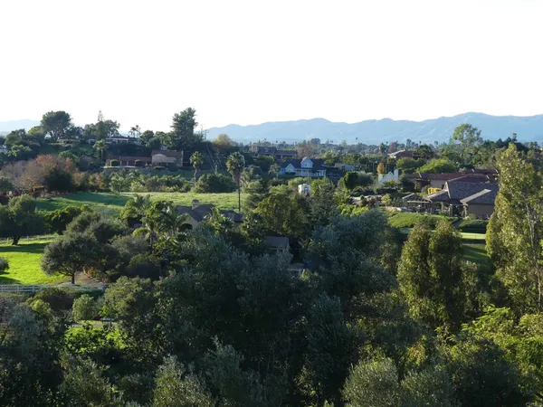 a view of a bunch of trees