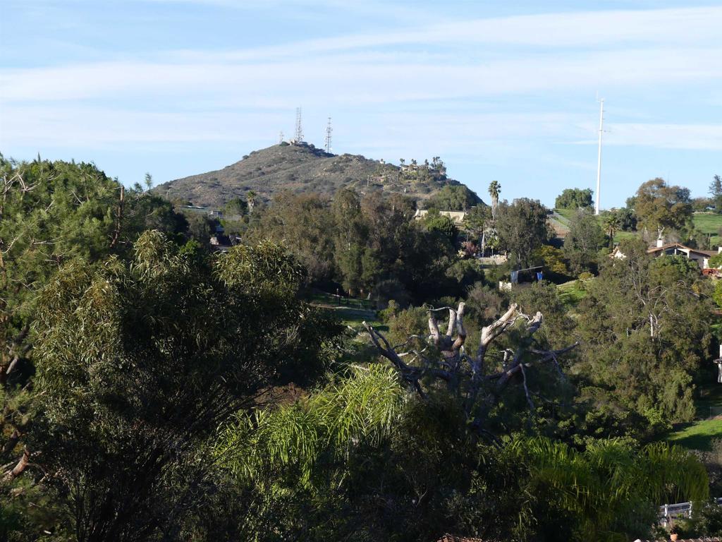 725 Yucca Road Fallbrook, CA 92028 - Photo 17 of 46 a view of a bunch of trees