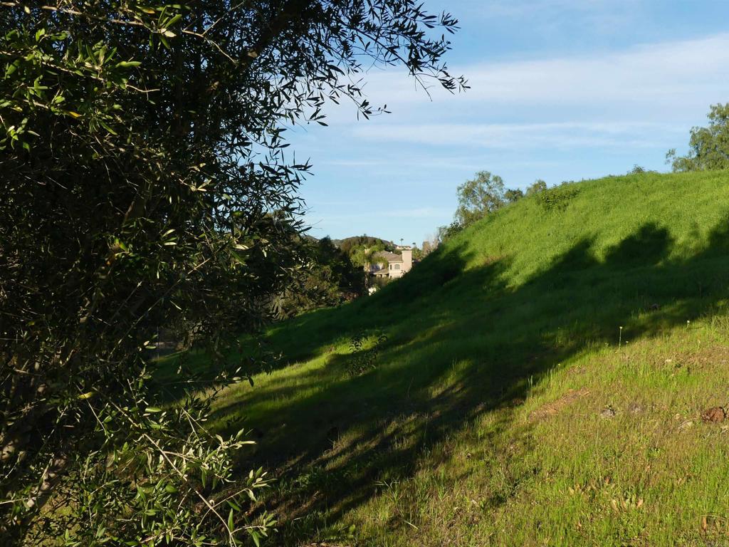 725 Yucca Road Fallbrook, CA 92028 - Photo 18 of 46 a backyard of a house with lots of green space
