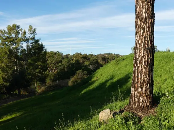 a view of a golf course with a lake view