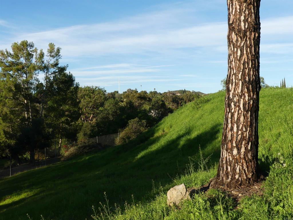 725 Yucca Road Fallbrook, CA 92028 - Photo 19 of 46 a view of a garden with a lake