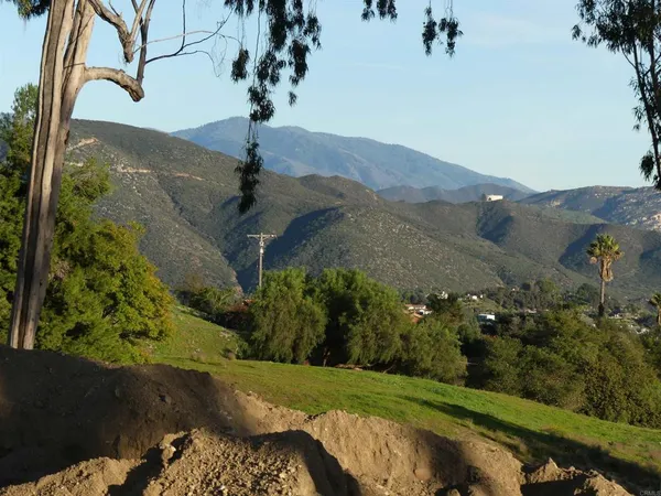 a view of a garden with mountains in the background