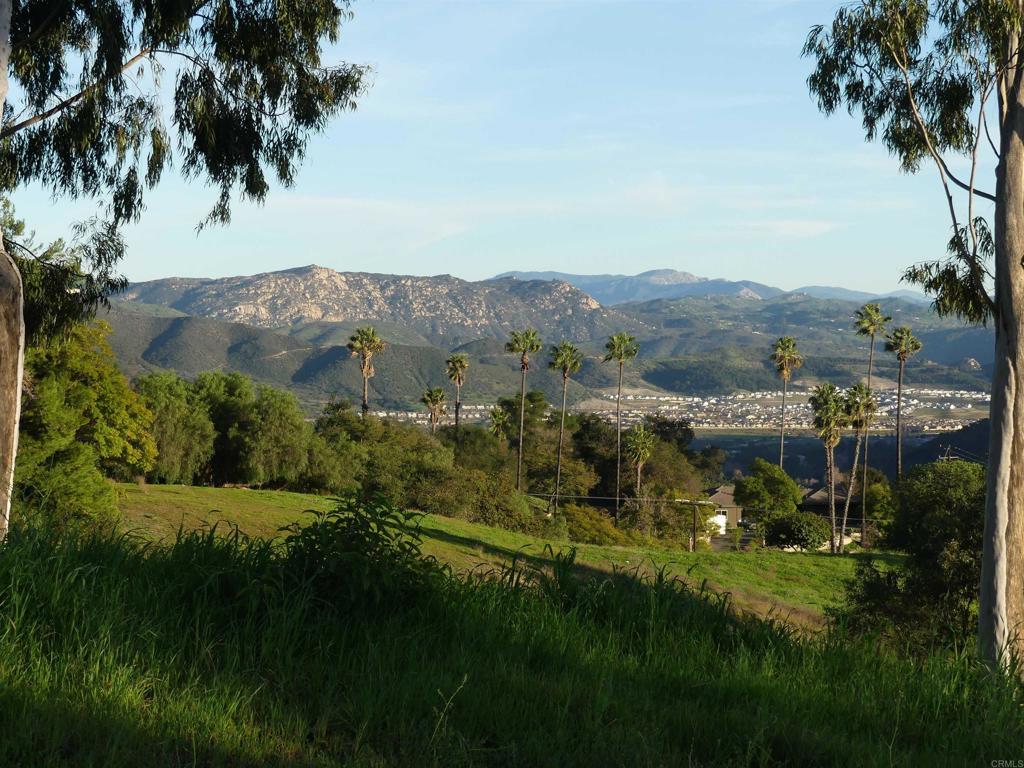 725 Yucca Road Fallbrook, CA 92028 - Photo 22 of 46 a view of a garden with mountains in the background
