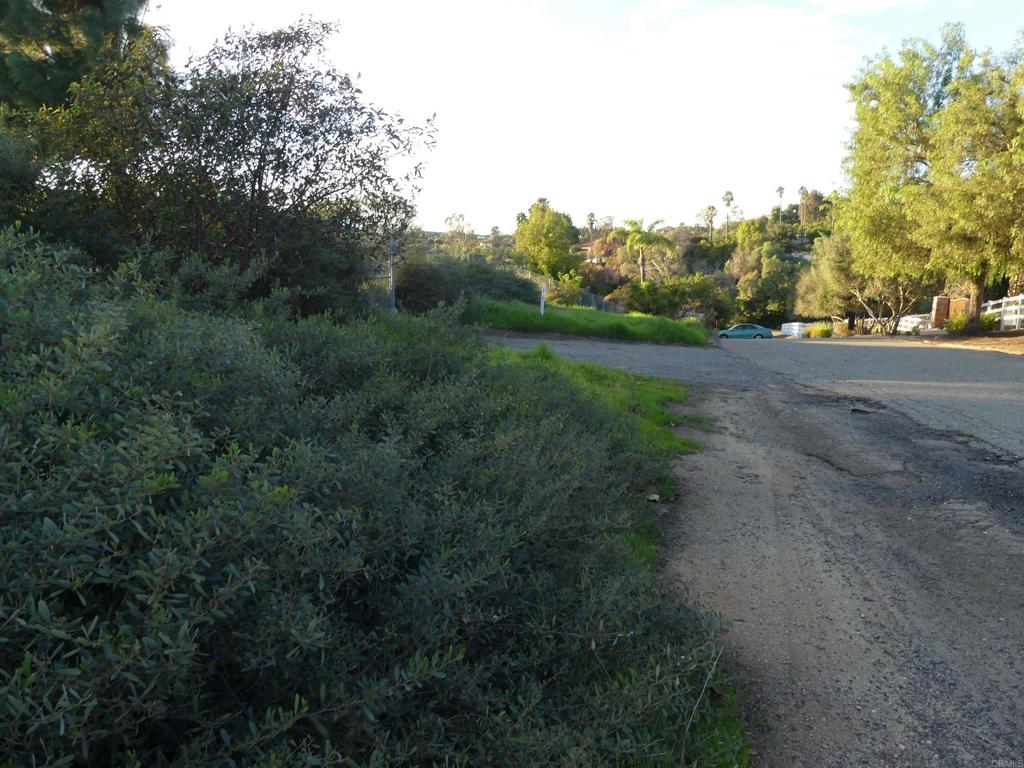 725 Yucca Road Fallbrook, CA 92028 - Photo 29 of 46 a view of a field of grass and trees