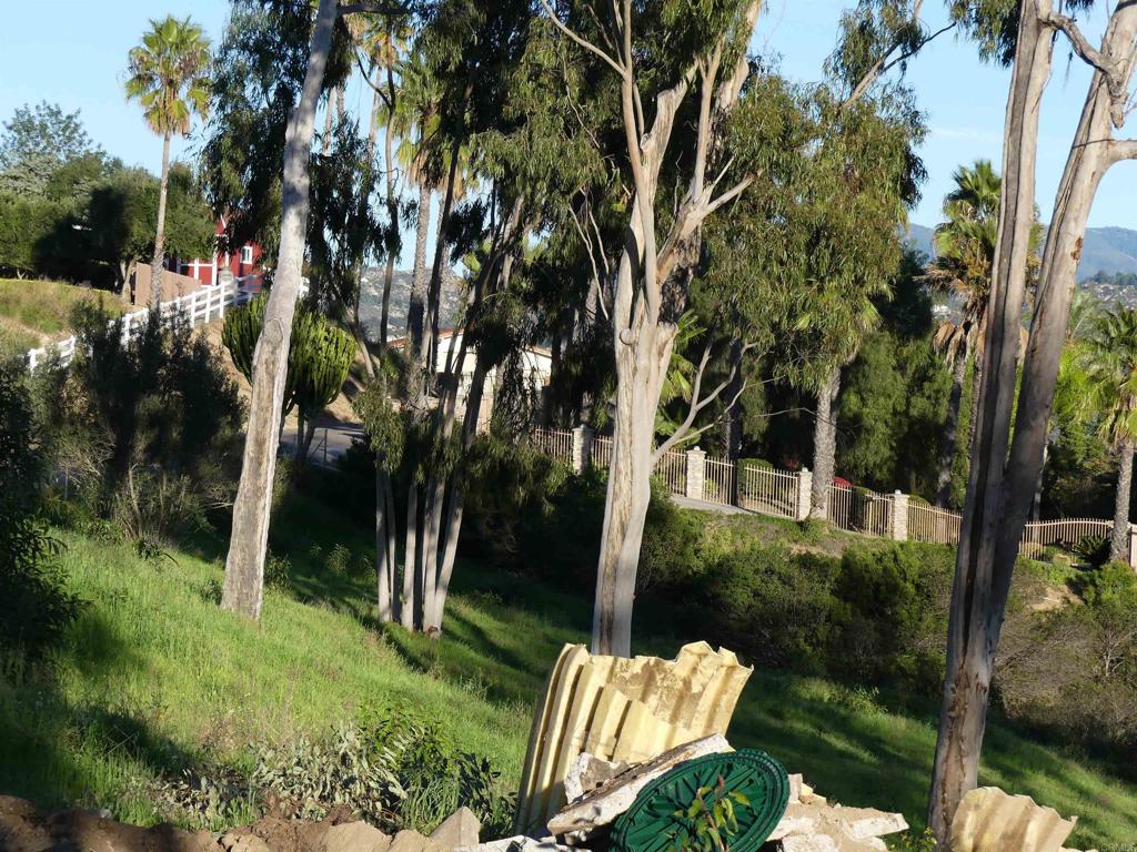 725 Yucca Road Fallbrook, CA 92028 - Photo 30 of 46 a view of a garden