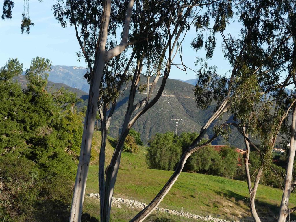 725 Yucca Road Fallbrook, CA 92028 - Photo 31 of 46 a view of a wooden bridge