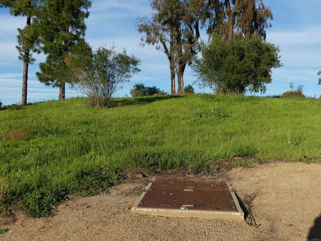 725 Yucca Road Fallbrook, CA 92028 - Photo 34 of 46 a view of backyard with green space