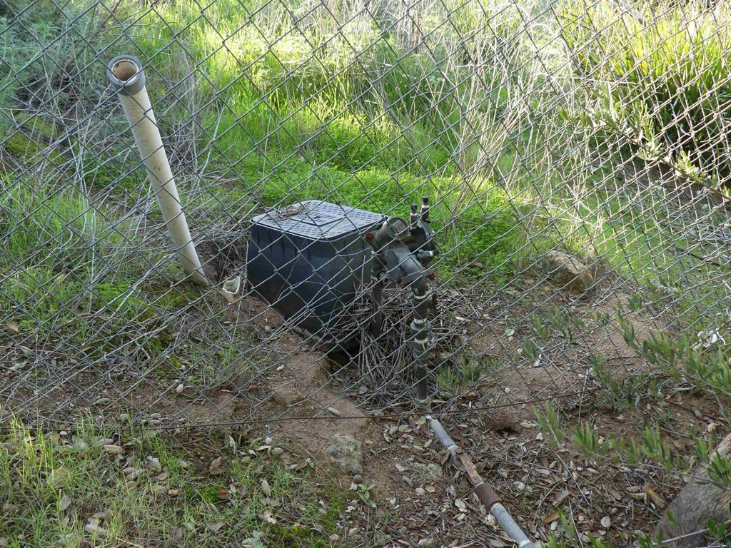 725 Yucca Road Fallbrook, CA 92028 - Photo 35 of 46 a view of a backyard with plants and trees