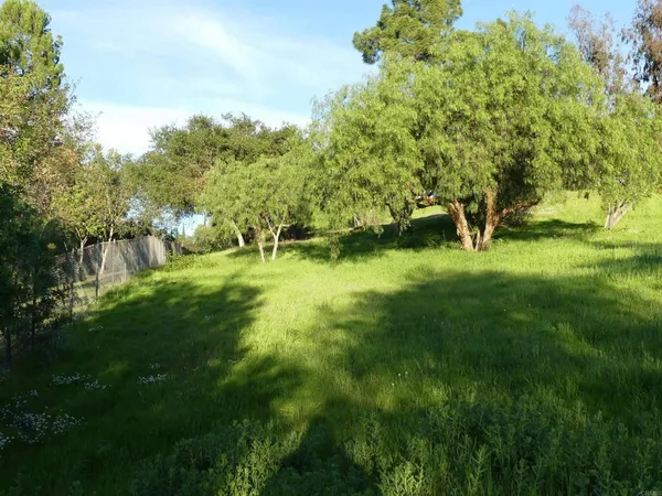 a view of outdoor space with deck and yard