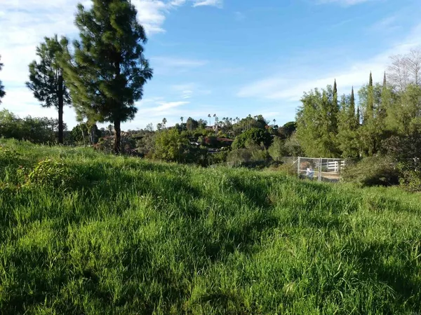 a view of outdoor space and yard