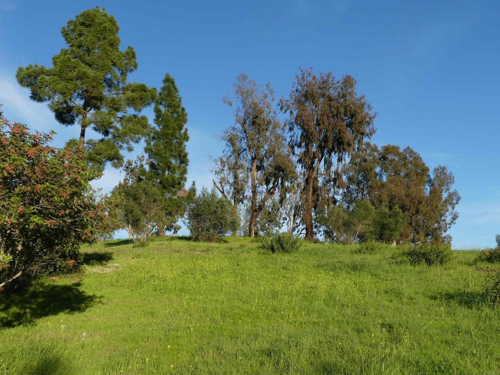 725 Yucca Road Fallbrook, CA 92028 - Photo 41 of 46 a view of outdoor space with deck and yard