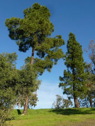 $575,000 | 725 Yucca Road, Fallbrook, CA 92028