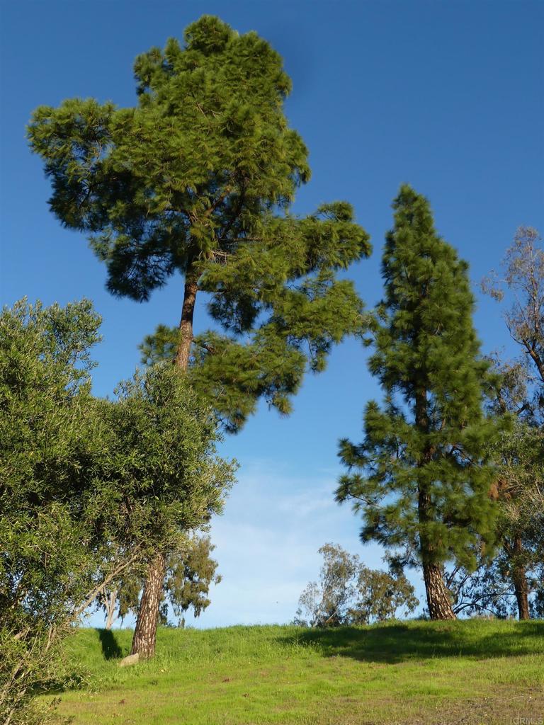 725 Yucca Road Fallbrook, CA 92028 - Photo 44 of 46 a view of a lake