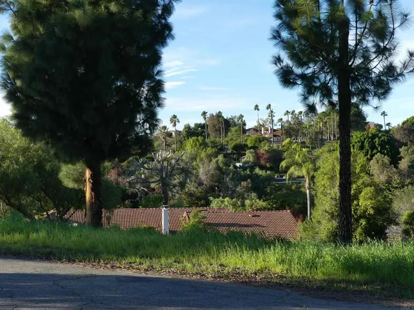 a view of a lake with palm trees