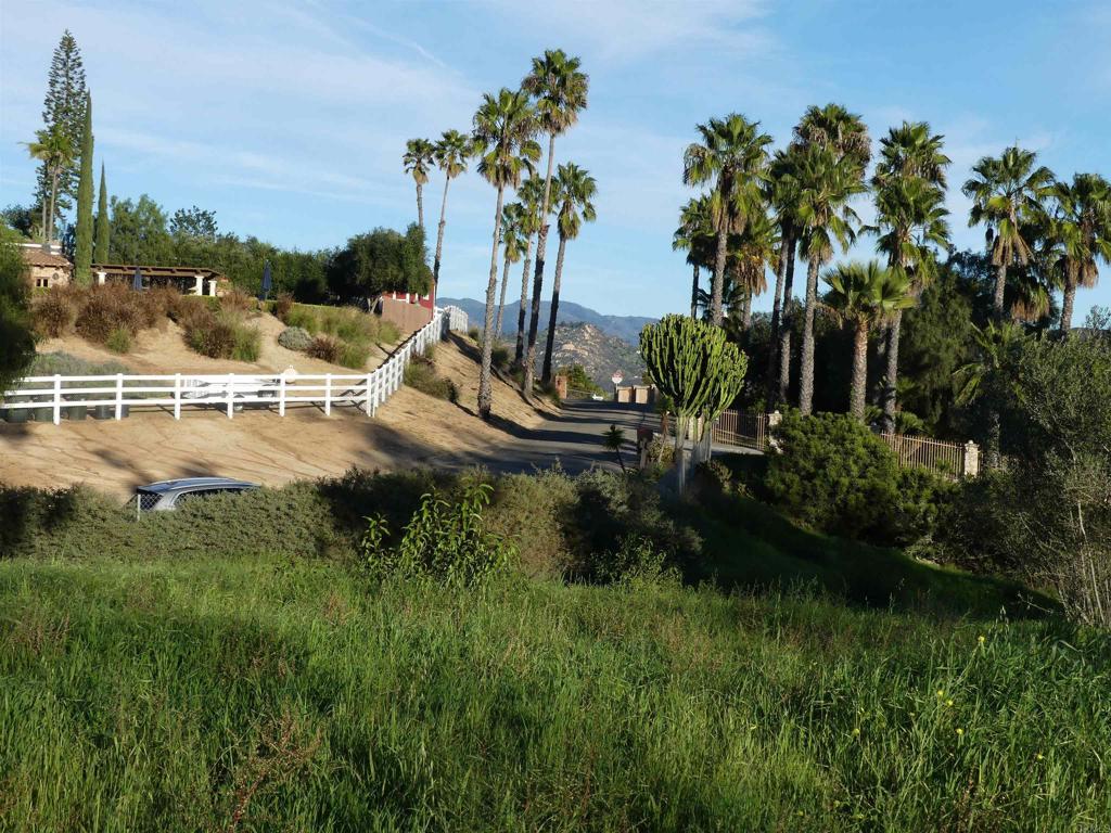 725 Yucca Road Fallbrook, CA 92028 - Photo 8 of 46 a view of a lake with palm trees
