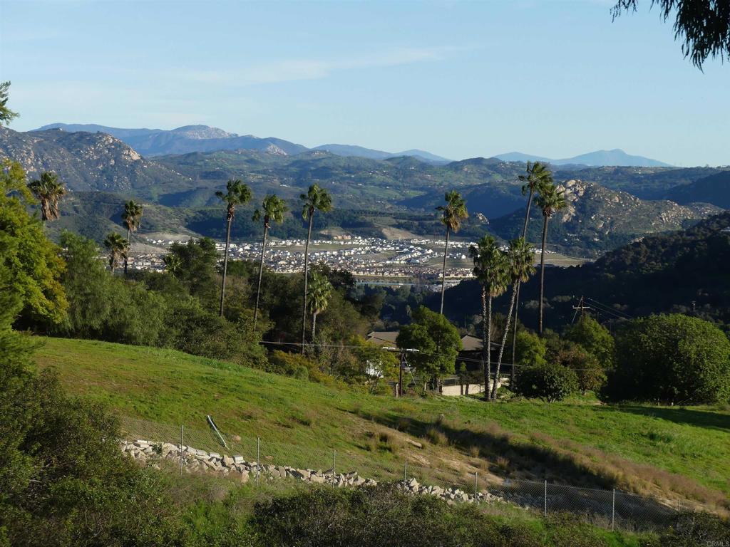 725 Yucca Road Fallbrook, CA 92028 - Photo 9 of 46 an aerial view of residential house with a garden