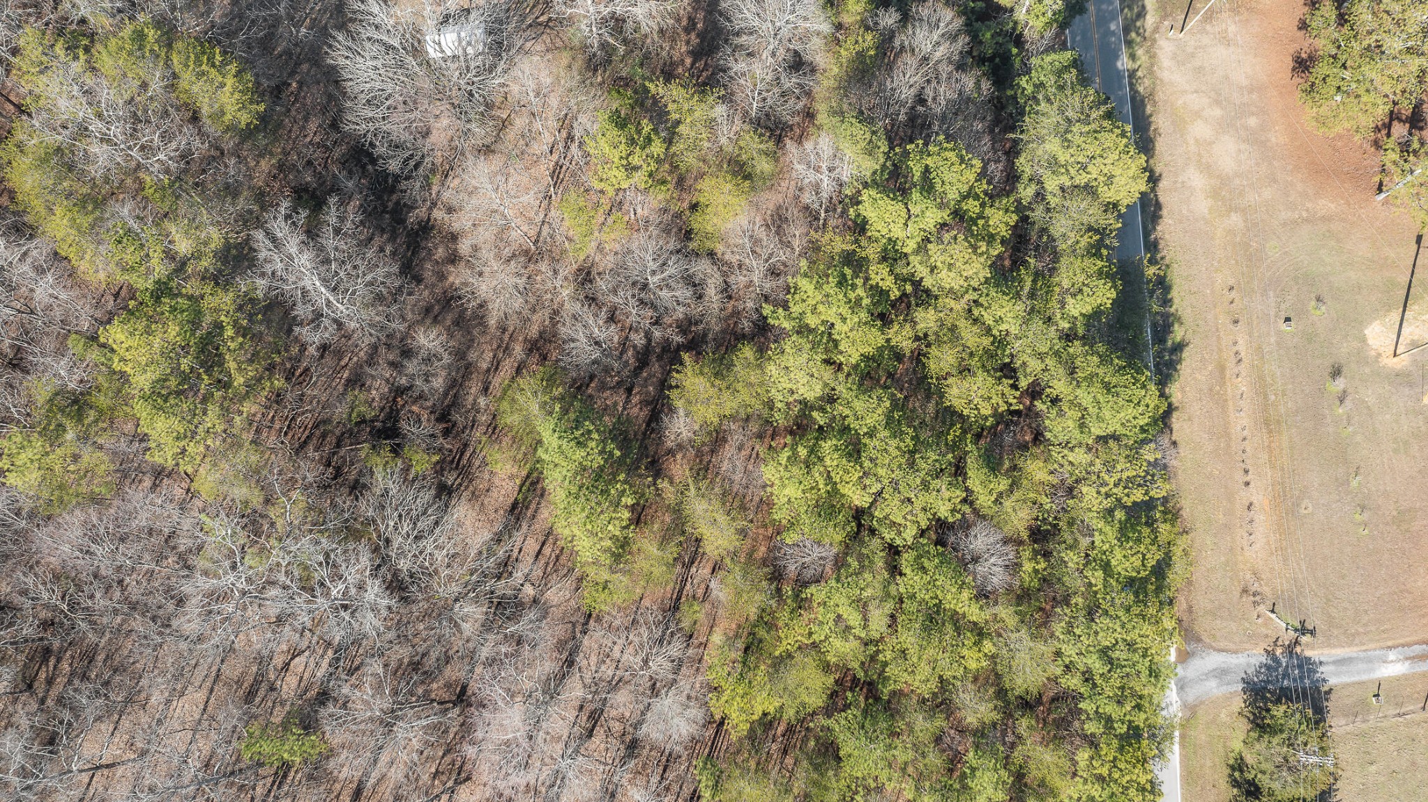 0 Bandy Road Tunnel Hill, GA 30755 - Photo 11 of 20 Gallery Image 11