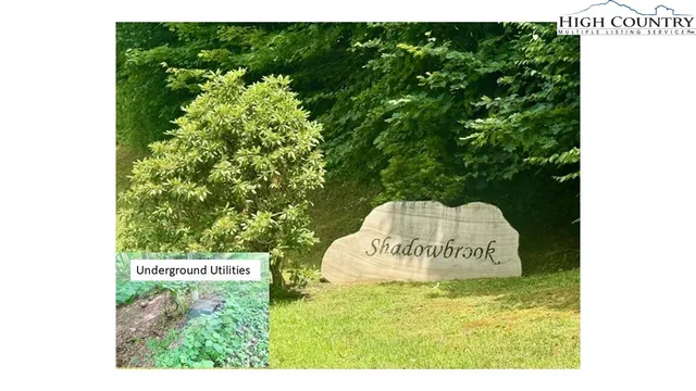 a picture of a book in a field