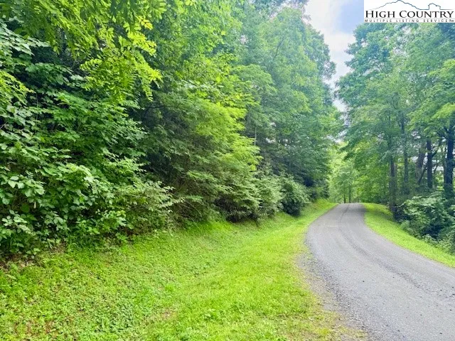 a view of a yard with plants and a bench