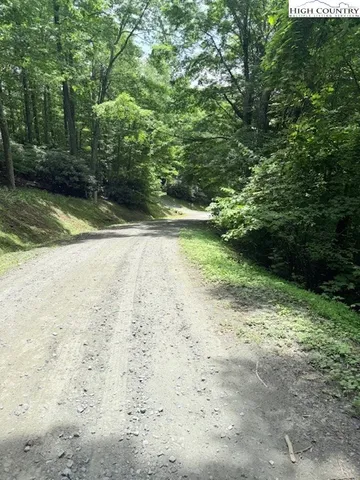 a view of a yard with plants and trees