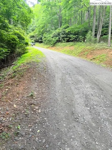 a view of a trees with yard