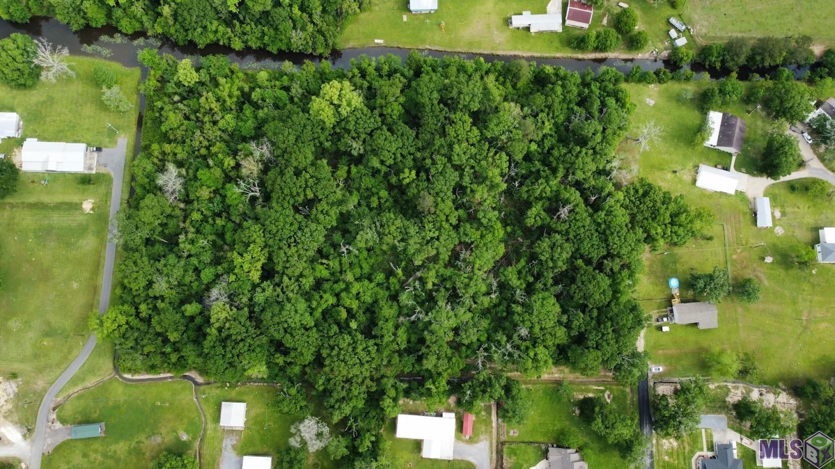 12227 Dan Bourgeois Road St. Amant, LA 70774 - Photo 2 of 4