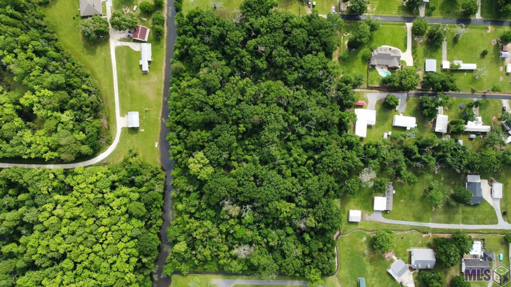 12227 Dan Bourgeois Road St. Amant, LA 70774 - Photo 3 of 4