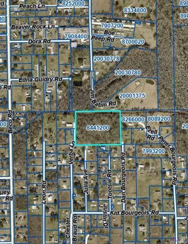 $219,900 | 12227 Dan Bourgeois Road, St. Amant, LA 70774