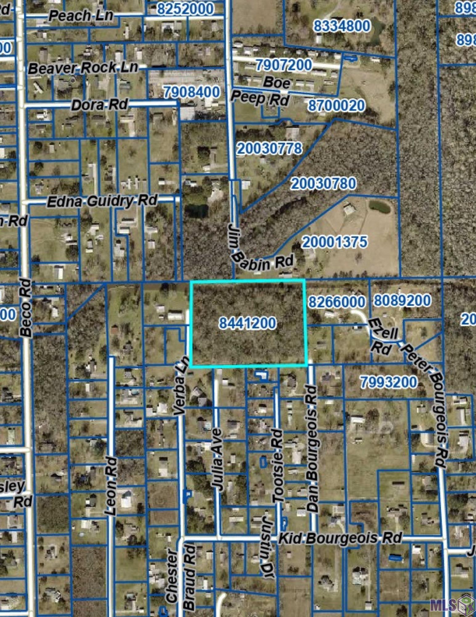 12227 Dan Bourgeois Road St. Amant, LA 70774 - Photo 4 of 4