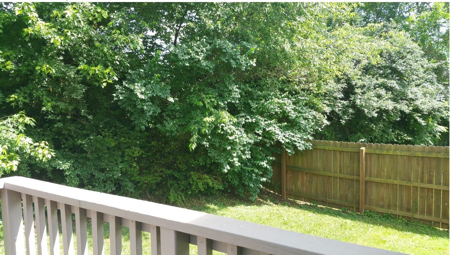 2120 Curving Road Knoxville, TN 37912 - Photo 3 of 8 image