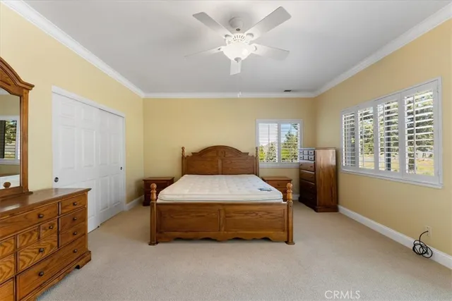 a spacious bedroom with a bed and a dresser