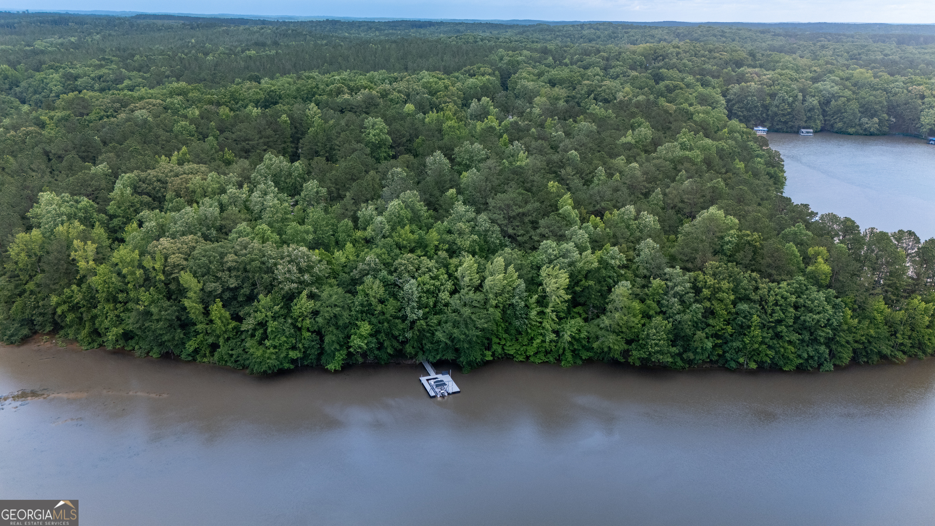 1249 County Road 446 Five Points, AL 36855 - Photo 38 of 41 an aerial view of a forest with houses