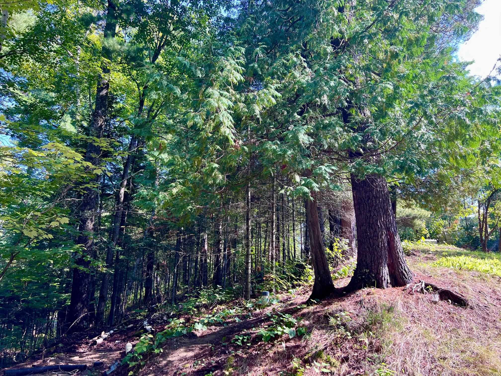 1280 Heather Street Ely, MN 55731 - Photo 3 of 29