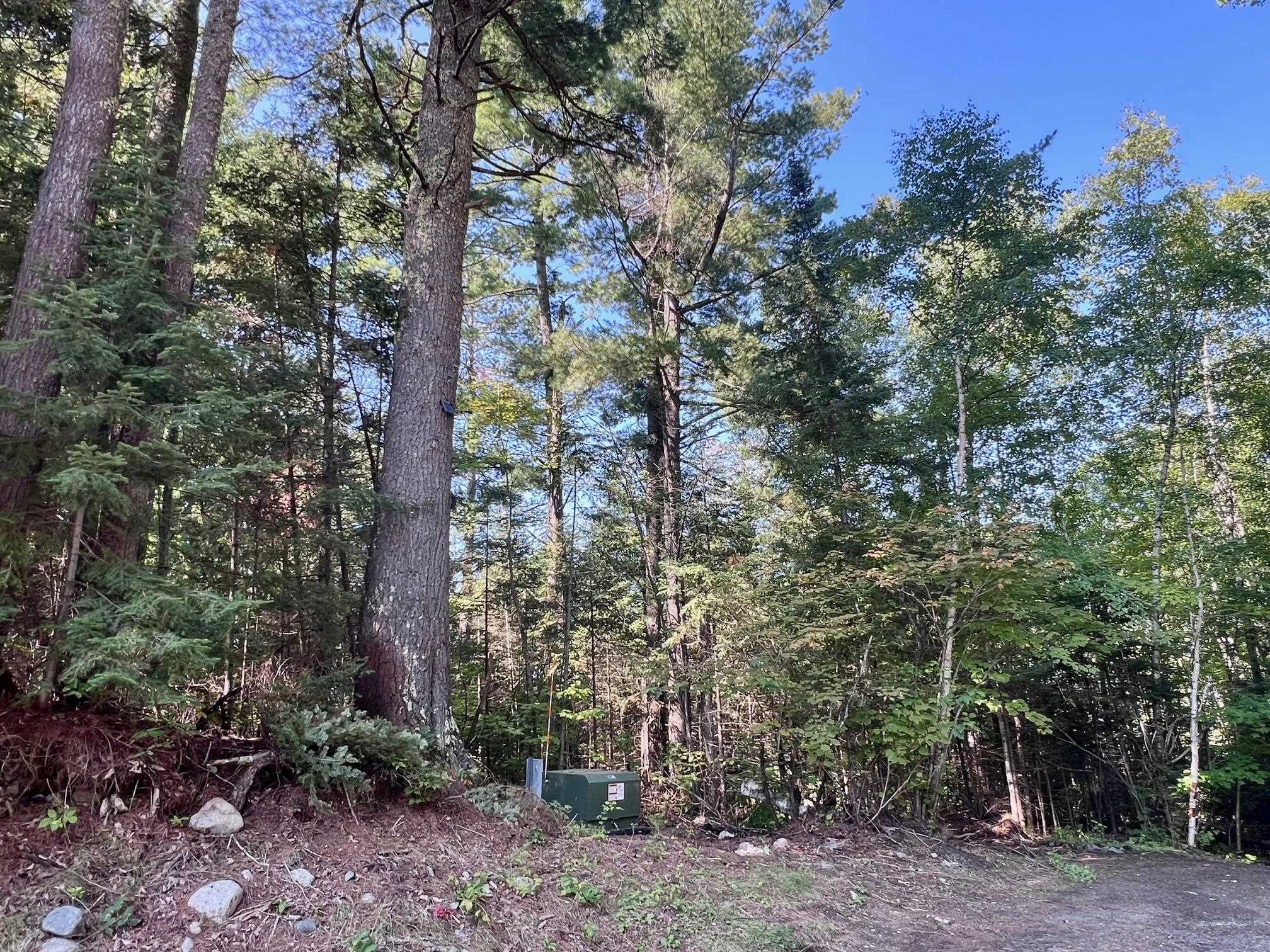 1280 Heather Street Ely, MN 55731 - Photo 4 of 29