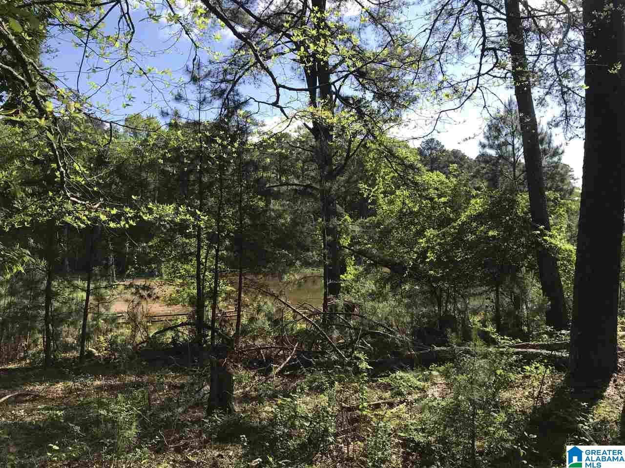 0 Steele Gap Road North, Unit 11 4 Steele, AL 35987 - Photo 8 of 26