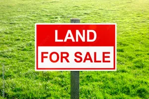 a sign that is sitting on a lush green field