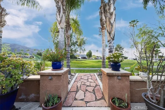 a view of a backyard with plants and a patio