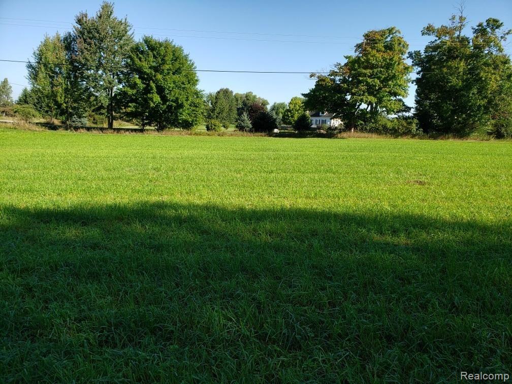 76900 Coon Creek Road Armada, MI 48005 - Photo 3 of 5 123_1 (1).jpeg